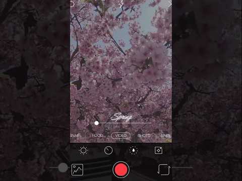 日本文学文化学科 【Vlog】Spring🌸