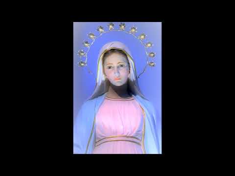 Tomasz Pinkowski - Spójrz Droga Matko... na świat