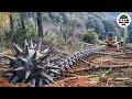 Extreme Dangerous Monster Stump Removal Excavator Amazing Fastest Wood Chipper Machines 17