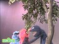 Sesame Street Grover And Herry Explain Here There
