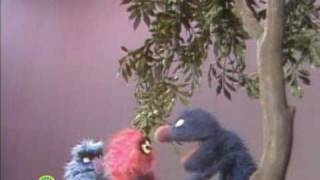 Sesame Street: Grover And Herry Explain Here &amp; There