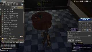 【FF14/暁月の終焉】#48 【6.25】(主声無)ハロウィーーン