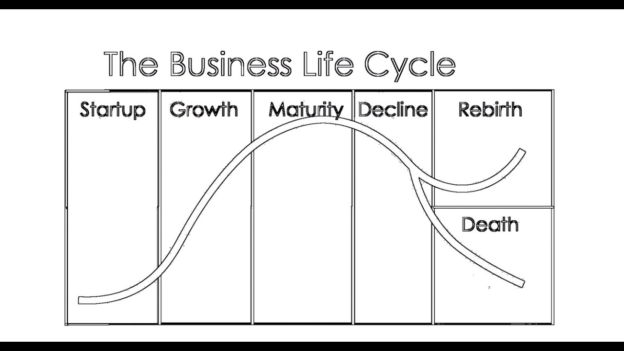 Business Lifecycle Explained