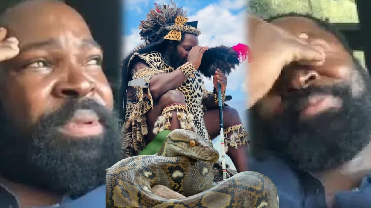 YouTube Thumbnail Downloader FULL HQ IMAGE