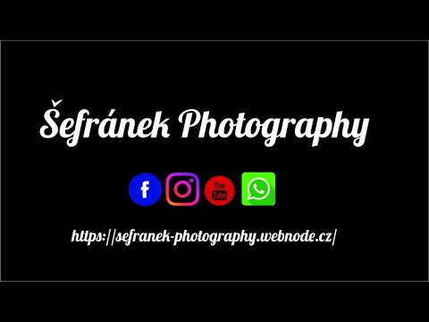 Sršni vs BCM Orli Prostějov