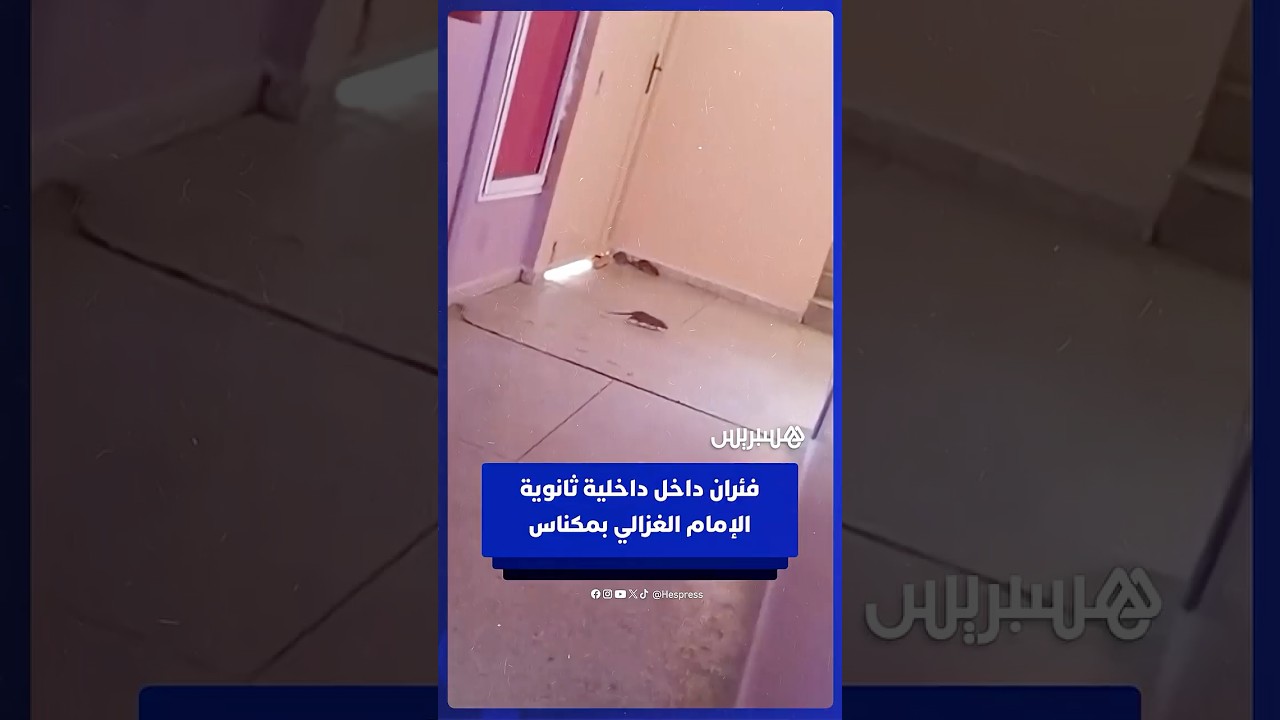 فيديو يُوثّق وجود فئران بداخلية ثانوية الإمام الغزالي في مكناس thumbnail