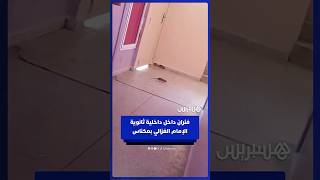 فيديو يُوثّق وجود فئران بداخلية ثانوية الإمام الغزالي في مكناس thumbnail