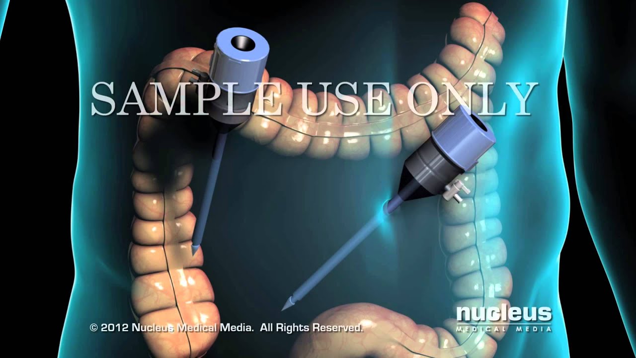 Verónica Rojas Hernández-14