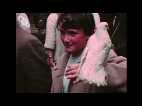Petticoat Lane (1959) | BFI National Archive
