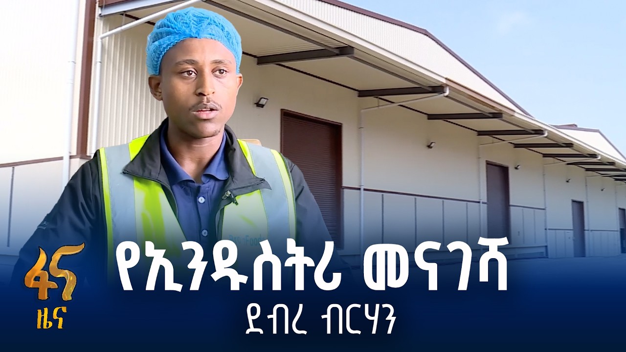 ከ50 ሺ በላይ ወጣቶች የሥራ እድል ተፈጥሮላቸዋል