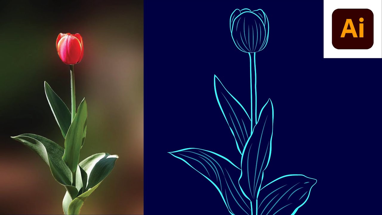 hand drawing vector flowers in illustrator 2022