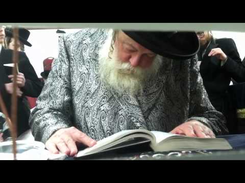 Toldos Avrohom Yitzchok Maariv in Spinka Airmont pt 3