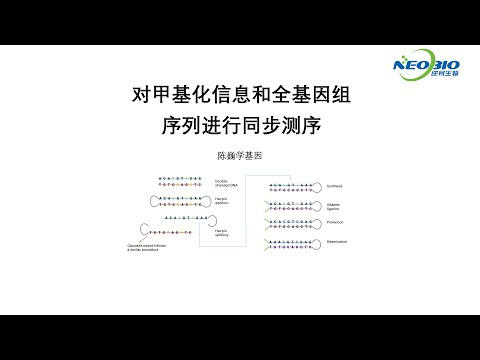【陈巍学基因】第114期：对甲基化信息和全基因组序列进行同步测序