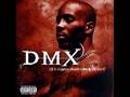 we in here-DMX 