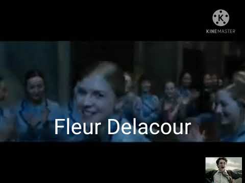 Triwizard tournament champion / Harry Potter...