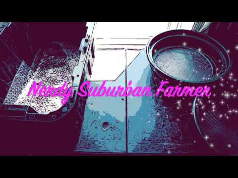 Vermicomposting E108-Breeder Bin Update