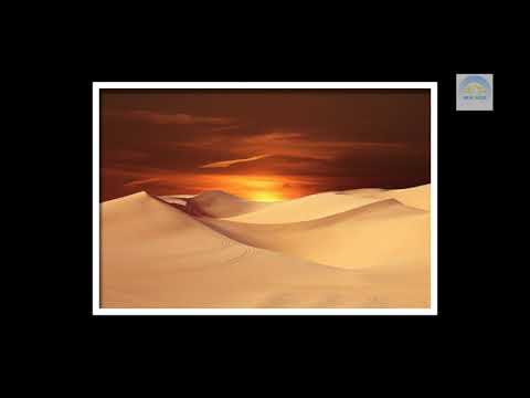 NICE SUN PHOTOS 02 - NSC 02