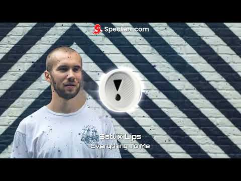 Satl x Lips - Everything To Me Bass Boosted