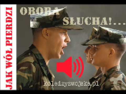 Jak wół pierdzi, to obora słucha