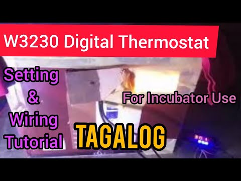 W3230 DIGITAL thermostat  setting and wiring diagram COMPLETE tutorial | DIY incubator