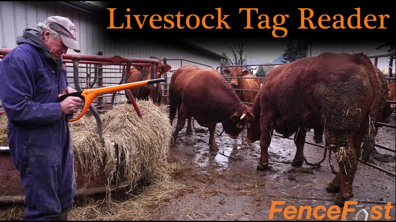 How YOU Can Benefit From the Livestock Tag Reader | RFID | FenceFast
