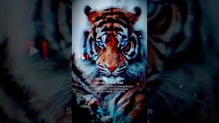 Download lagu Quotes harimau jawa #shorts #macan #story #status mp3