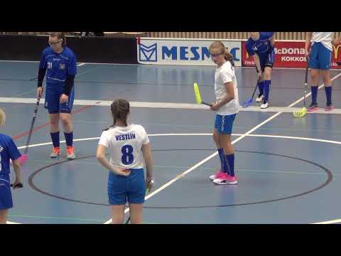 Nibacos sin - Blue Fox sin Hollihaka Kokkola