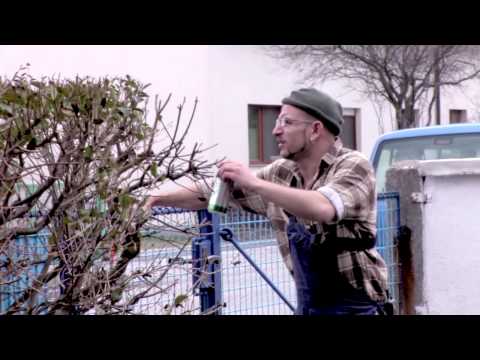 Anton Horvath - Auf der Straße liegt das Geld (Unveröffentlichte Szene)