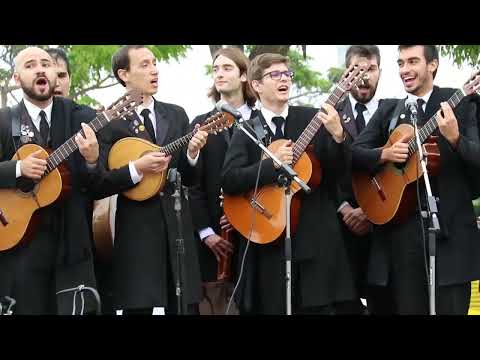 anTUNiA  -  Tuna de Ciências e Tecnologia da Universidade Nova de Lisboa -  Madalena