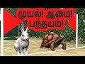 முயல் ஆமை பந்தயம் புதிய கதை அறிவு கதை�