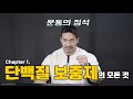 [헬스백과사전] 단백질 보충제의 모든 것
