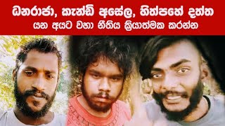 Download lagu මේ ගෝත්රිකයෝ තුන්දෙනා 🤩ළඟම ඇති පොලීසිය වෙත භාරදීමට කටයුතු කරන්න🎁😍 mp3 Download lagu මේ ගෝත්රිකයෝ තුන්දෙනා 🤩ළඟම ඇති පොලීසිය වෙත භාරදීමට කටයුතු කරන්න🎁😍 mp3