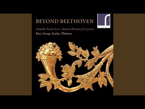 Grande Sonate in E Major, Op. 29: I. Allegro