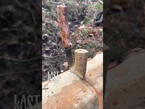 Survival Bushcraft Tips & Tricks You Must Know #survival #bushcraft #outdoors #camping