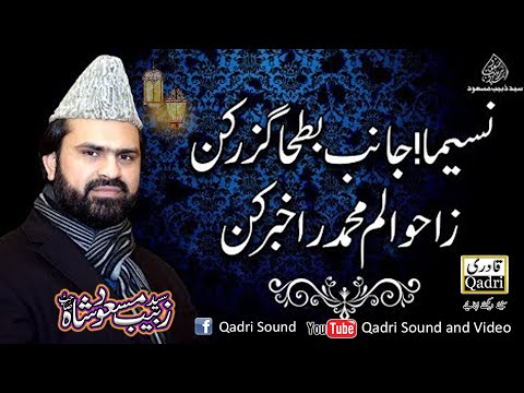 Naseema janib e batha Guzar kun || Syed Zabeeb masood Shah || Saroba Sharif Urs 2020