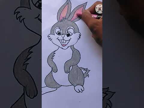Coloring Pages Rabbit