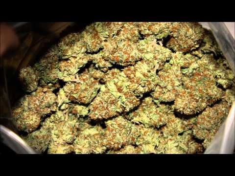 Franky Bragg - Lazy ft. Dirty Taz