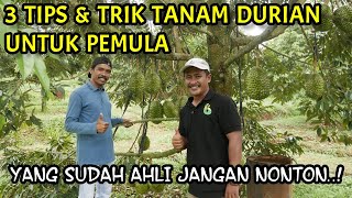 Download lagu CARA MUDAH MENANAM DURIAN AGAR CEPAT BERBUAH UNTUK PEMULA | Bersama @aguswidodo9987 mp3 Download lagu CARA MUDAH MENANAM DURIAN AGAR CEPAT BERBUAH UNTUK PEMULA | Bersama @aguswidodo9987 mp3
