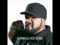 Ice Cube- In The Late Night Hour