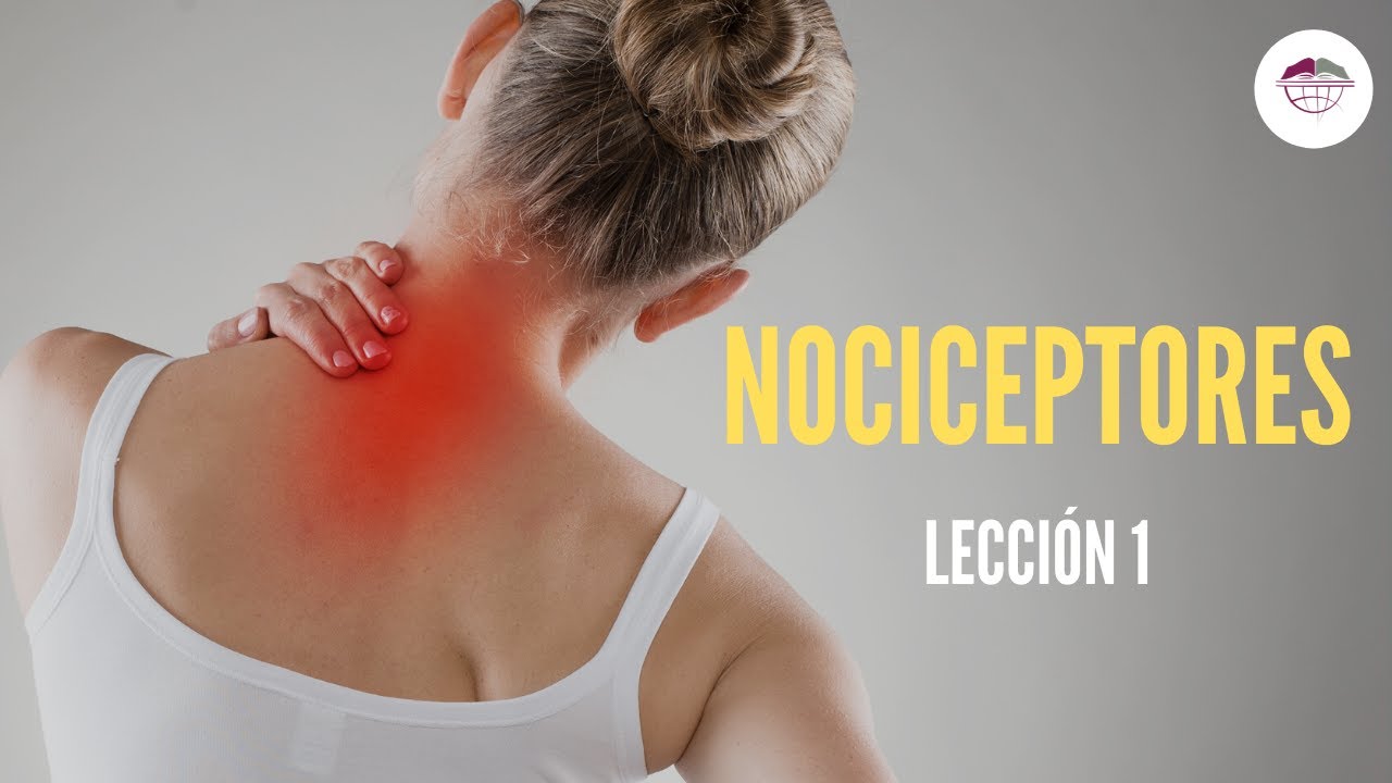 1. NOCICEPTORES (FISIOLOGÍA DEL DOLOR)