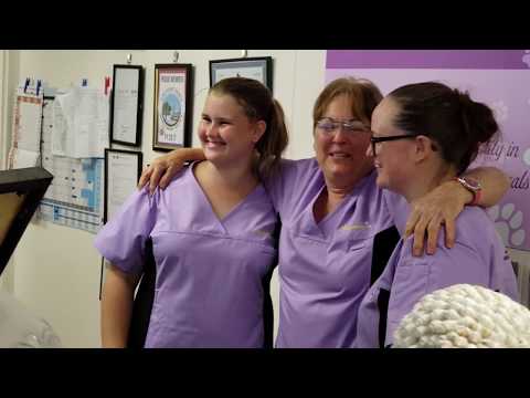 Rosemary's House for Dogs & Cats  •  Virtual Tour