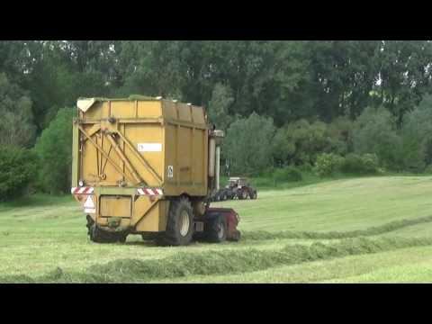 Landb. Baeken - Hoegaarden - Hesston Field Queen 7655