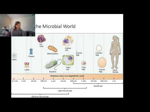 Lecture 1 Introduction to Microbiology