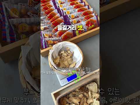 [2025새영천알림이단