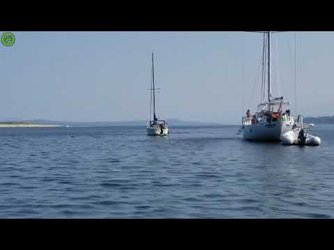 Orca stealing a boat