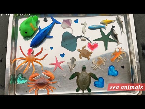 Unboxing sea animals toys and sharks 🦈/fish names for kids learning/learn fish names/aquarium kids 