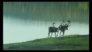 Download lagu Swedish Romantic Violin Concertos～スウェーデンのロマンティック・ヴァイオリン協奏曲集 mp3