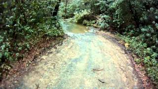 preview picture of video 'Cove Creek- Water Crossing, Pisgah Forest'