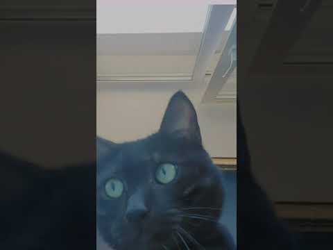 bams bams bams😚😁 #shorts