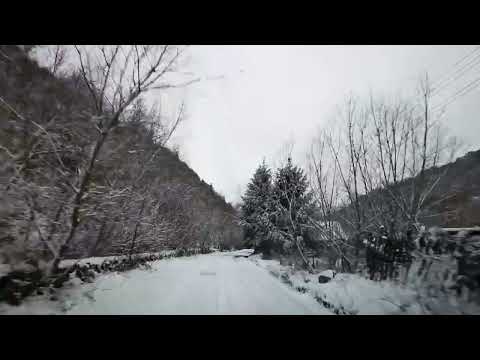 Drum spre Vadu Dobrii, iarna. VIDEO SCURT